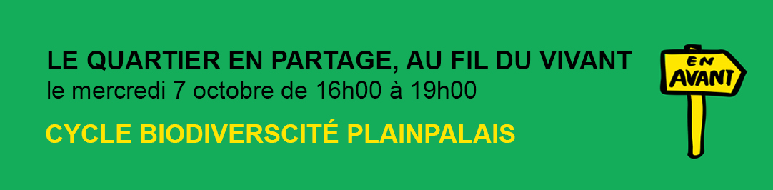 HpCBD Octobre